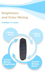 Coburg Aquarium | Zetlight Mini 3W LED