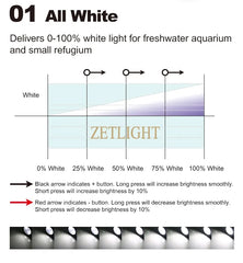 Coburg Aquarium | Zetlight Mini 3W LED