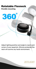 Coburg Aquarium | Zetlight Mini 3W LED
