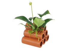 Terracotta Shrimp Tubes With Anubias