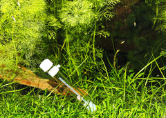 Coburg Aquarium | JBL PlaCollect (Planaria and flatworm trap) | Shop aquarium cleaning supplies online
