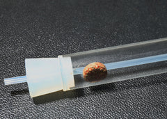 Coburg Aquarium | JBL PlaCollect (Planaria and flatworm trap) | Shop aquarium cleaning supplies online
