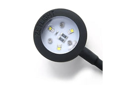 Coburg Aquarium | Zetlight Mini 3W LED