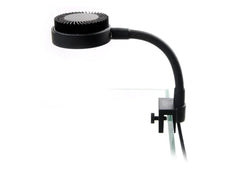 Coburg Aquarium | Zetlight Mini 3W LED
