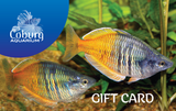 Gift Card $100