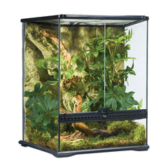 Exo Terra Terrarium