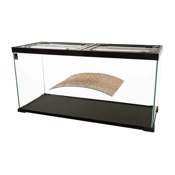 Photo inspiration: Urs Turtle Tank Photo Inspiration