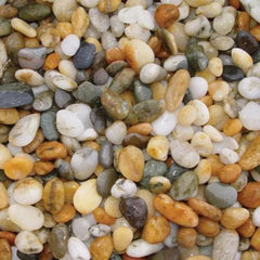 Aqua Natural Gold Pearl