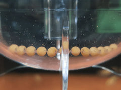 ZISS Aqua - Egg Tumbler - ZET-80