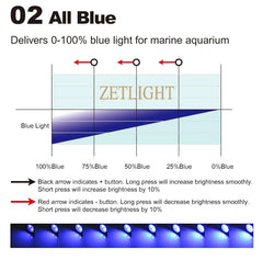 Coburg Aquarium | Zetlight Mini 3W LED