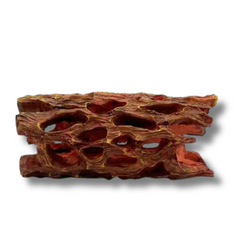 Shrimp Cholla Log