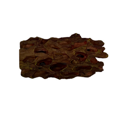 Shrimp Cholla Log