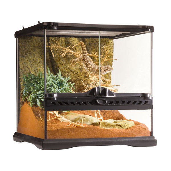 Exo Terra Terrarium – Coburg Aquarium - Main Image