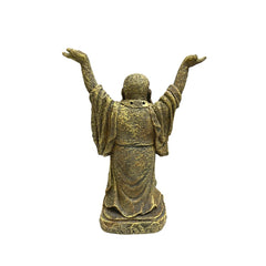Penn-Plax Standing Buddha Aquarium Decoration 10-inch | 25cm Aquarium Ornaments | Fish Tank Decor | Coburg Aquarium | Up to 80% off Aquarium accessories