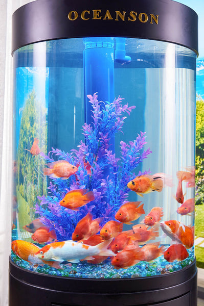 Oceanson V5-O80 80cm (D) Aquarium Round Tank with Stand and Sump