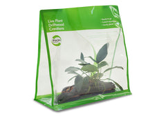 Pisces Driftwood Plant Creations 2 GO