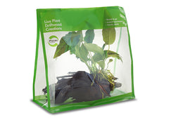 Pisces Driftwood Plant Creations 2 GO