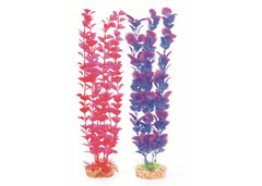 Kazoo Plastic Plant Medium Leaf Pink/Purple