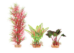 Kazoo Silk Plant Multipack 1