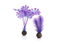 biOrb Kelp Set