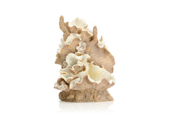 biOrb Clamshell Ornament