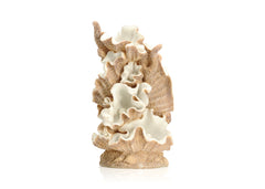 biOrb Clamshell Ornament