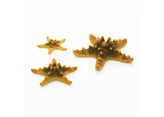 biOrb Sea Star - 3 Set