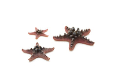 biOrb Sea Star - 3 Set