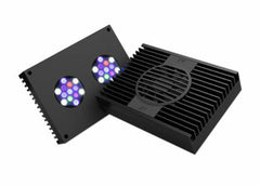Aqua Illumination Hydra 32 Black