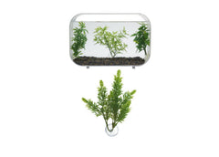 Zoo Med Betta Plant Salvia