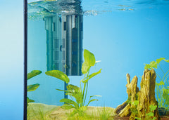Oase BioPlus 50