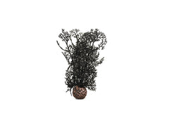 biOrb Sea Fan artificial aquarium plant with fine branching stems and weighted ball base