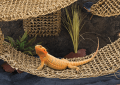 Penn Plax Lizard Loungers Window Hammock