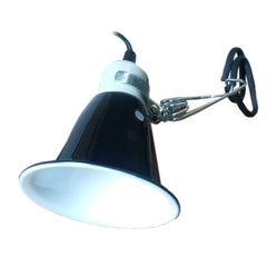 Lamp n Clamp