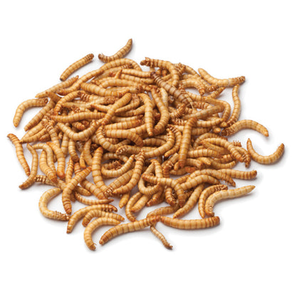 Fish Organic - Mealworms