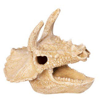 Ornament Bisticeratops Skull 12wx14dx12cmh