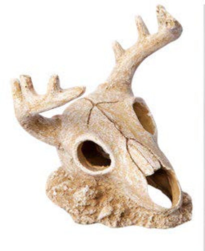 Ornament Deer Skull 14.5wx13.5x15.5cmh