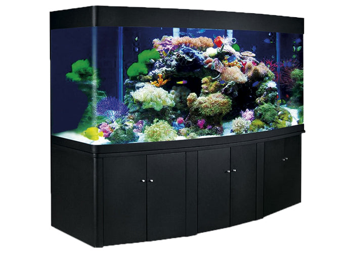 Fish Aquarium Shop Supplies Store Live Fish Aquairum Plants Coburg Aquarium