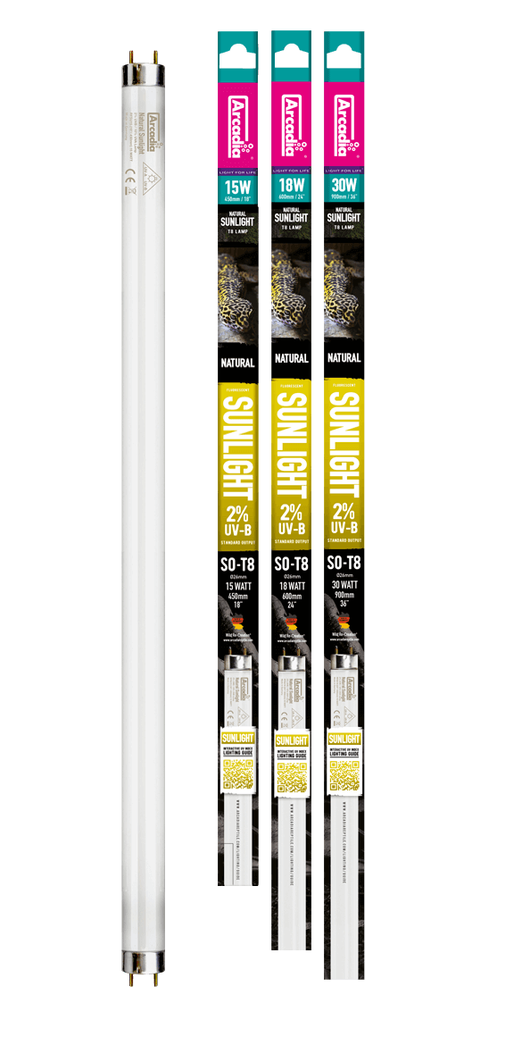 Arcadia Natural Sunlight full spectrum fluorescent tube FSU18 18W 24 inch – T8 aquarium and terrarium lighting with 5600K natural daylight spectrum