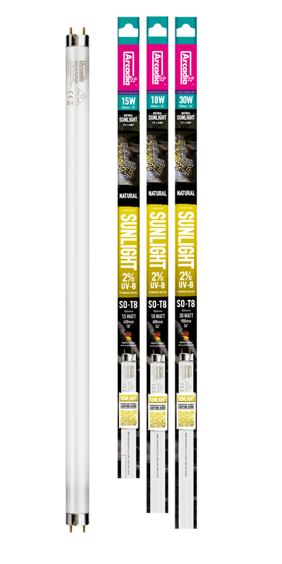 Arcadia Natural Sunlight full spectrum fluorescent tube FSU18 18W 24 inch – T8 aquarium and terrarium lighting with 5600K natural daylight spectrum