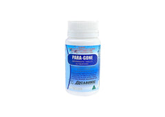 Aquasonic Paragone