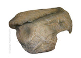 Dyno Rock Hide Rock L For Python 45.3x41.6x11cm