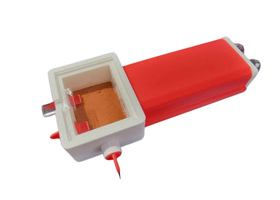 Coburg Aquarium | Ant Formicarium (Ant farm) + Ant