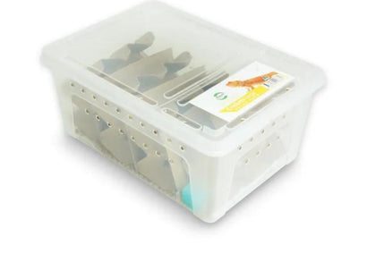 Coburg Aquarium | Crickets Value Pack Pisces | Shop live food online