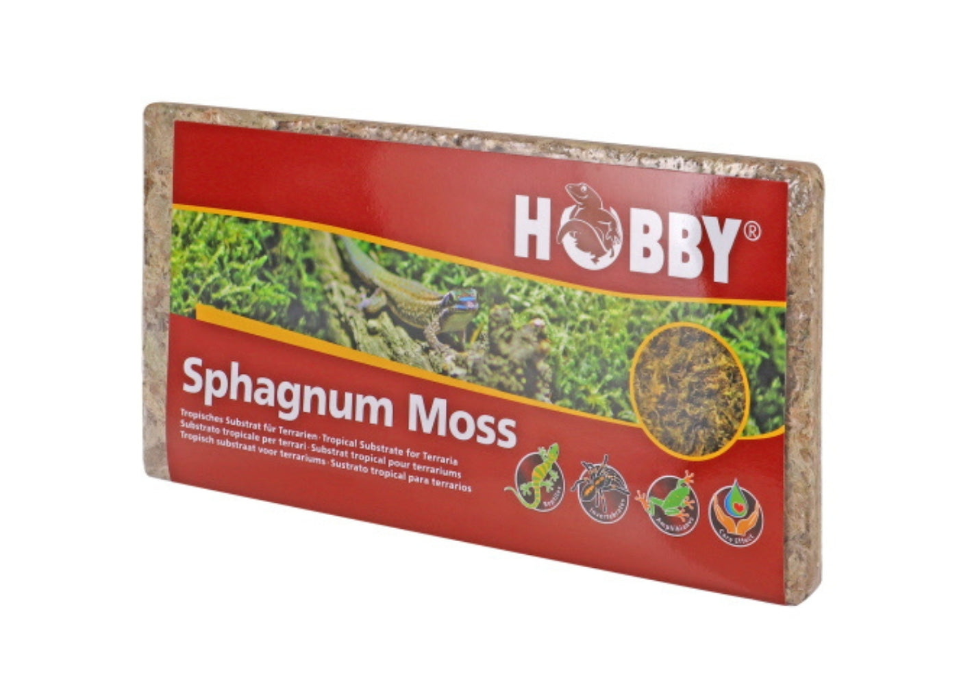 Coburg Aquarium | Dupla Hobby Sphagnum Moss 100g | Shop terrarium and aquarium supplies online
