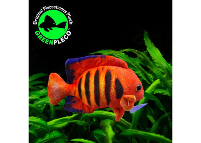 Fish Plushie - Flame Angel 14cm