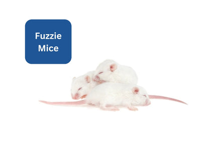 Coburg Aquarium | Fuzzie Mice Frozen Reptile Food