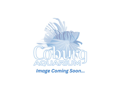 Products – Coburg Aquarium
