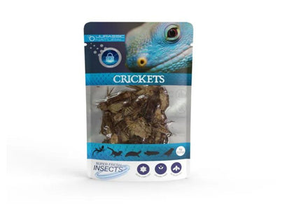 Coburg Aquarium | Jurassic Natural Crickets 6g