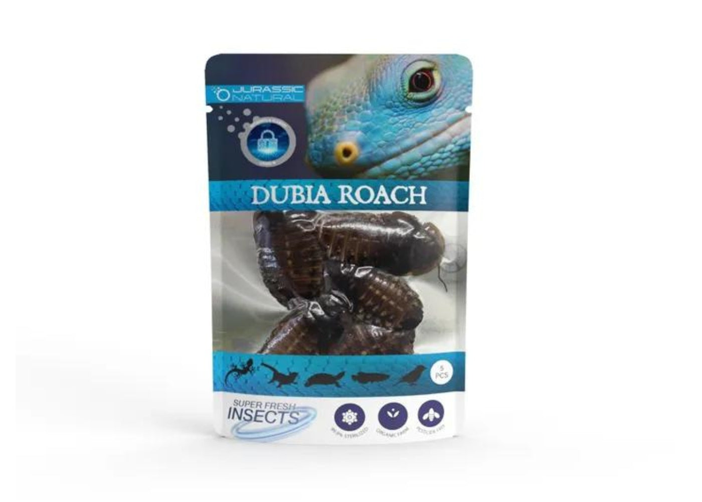 Illustration of Dubia Roach Habitat Design For Large Aquariums
